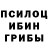 Галлюциногенные грибы Magic Shrooms NI66azZ