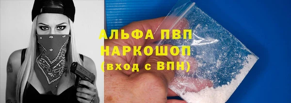 метадон Богданович