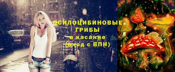 сатива Богородицк