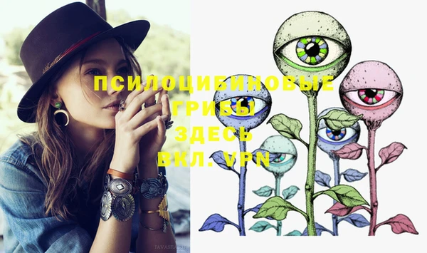 MESCALINE Бородино