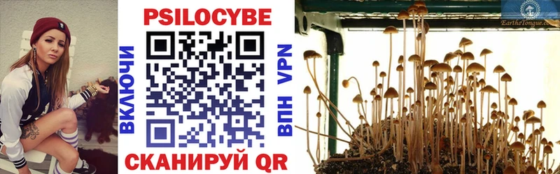 купить наркотик  Вельск  Галлюциногенные грибы Cubensis 